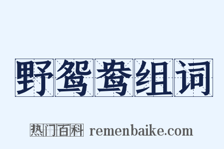 野鸳鸯组词是什么意思的图片